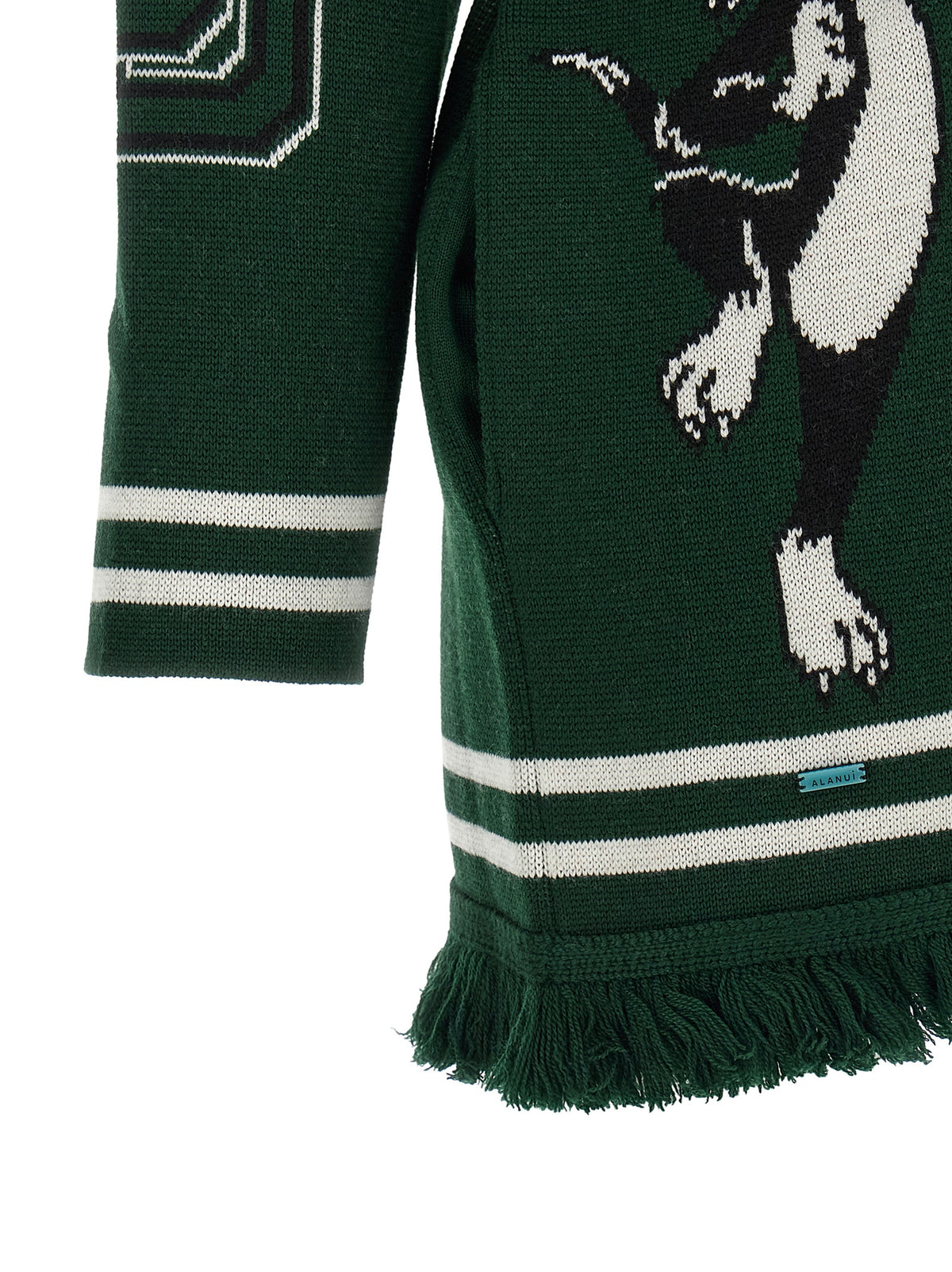 Bicolor Virgin Wool Cardigan